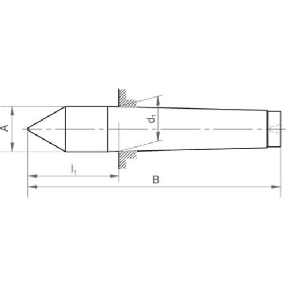 Feste Zentrierspitze DIN 806 MK 2 WS-Beschreibung lesen