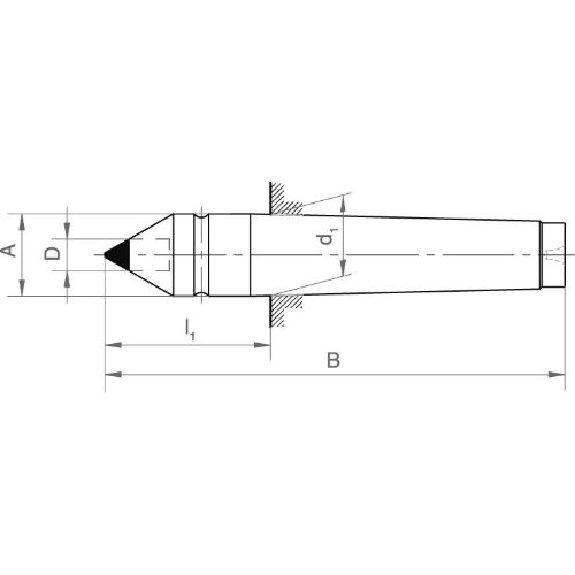 Zentrierspitze DIN 806 MK 5 mit Hartmetalleinsatz-Beschreibung lesen