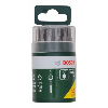 Schrauberbit-Set, 10-teilig, inklusive Torx