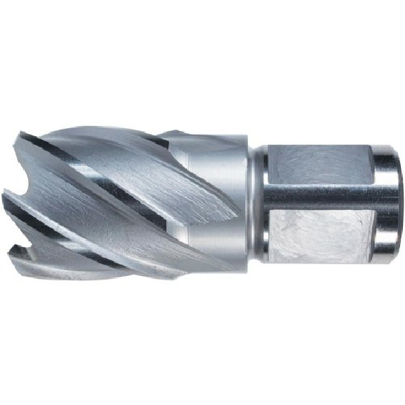 Kernbohrer HSS 29/30mm Alfra-Beschreibung lesen