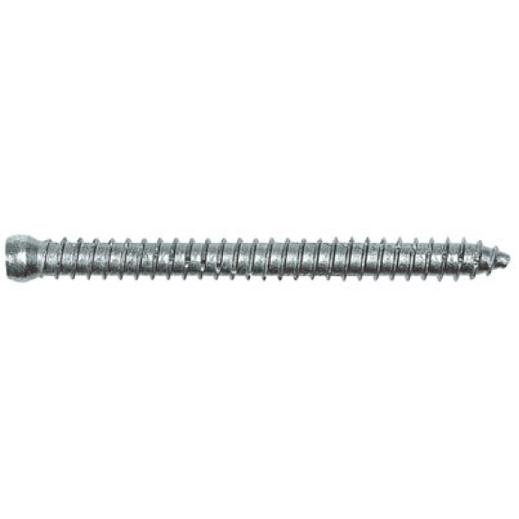 Vis de fixation tête cylindrique FFSZ - Long. cheville: 152 mm Vis de fixation tête cylindrique FFSZ - Long. cheville: 152 mm-Lire la description