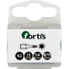 Bit Toion 1/4" DIN3126 C6,3 T15x25mm 10er Pack