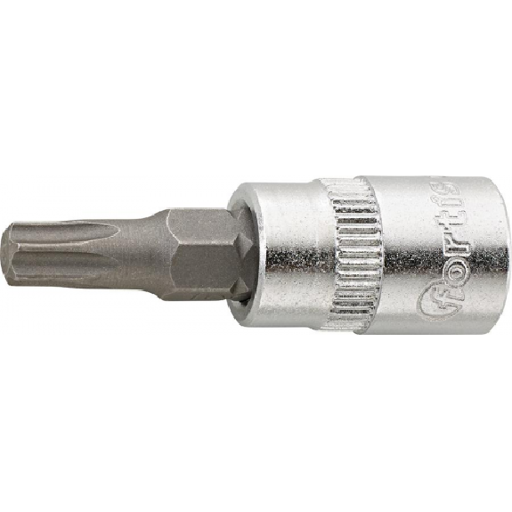 Schraubend.Eins. 1/4" T27x 36mm FORTIS-Beschreibung lesen