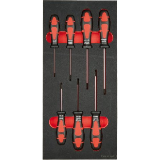 Modul Schraubendreher Torx 1/3-Beschreibung lesen