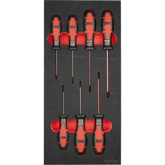 Modul Schraubendreher Torx 1/3 Modul Schraubendreher Torx 1/3-Beschreibung lesen