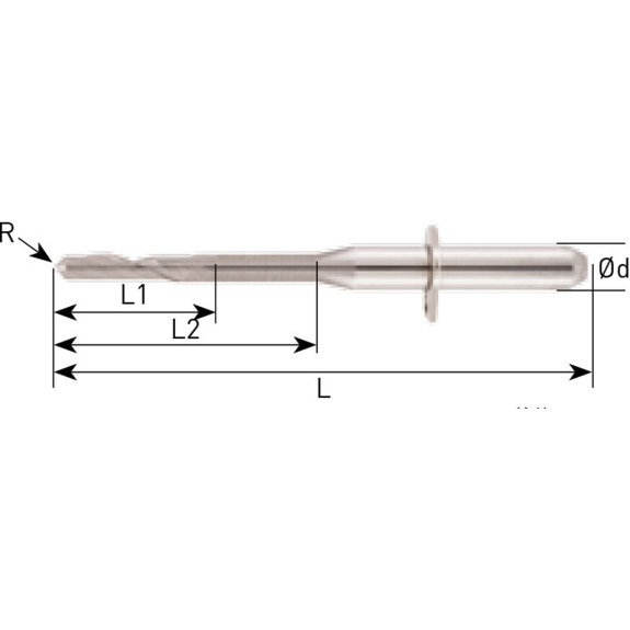 VHM Schaftfräser VHN für PEEK, PMMA und WAX 2VHN006088335 mit Nicht beschichtet Beschichtung 0,6mm Durchmesser-Beschreibung lesen