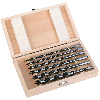 Juegos de brocas Auger - AD Set 230 mm - 6 pc
