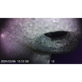 PCE Instruments Hochtemperatur Video Endoskop PCE-VE 260HT Hochtemperaturkamerakabel bis 300 °C |Länge Kamerasonde 2 m-Beschreibung lesen