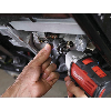 KNUCKLE - ShW CD Knuckle - 11 pc