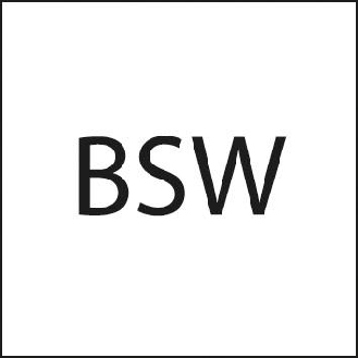 Schneideisen EN 22568 HSS BSW3/ 4Z-Beschreibung lesen