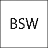 Schneideisen EN 22568 HSS BSW1/ 4Z