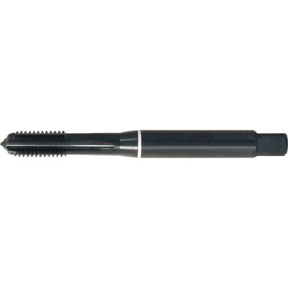Taraud machine à formater DIN 371 C HSSE M5.0 GG-Leggi tutto