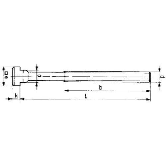 Schraube für T-Nuten DIN 787 M12x14x 50mm kpl.-Beschreibung lesen