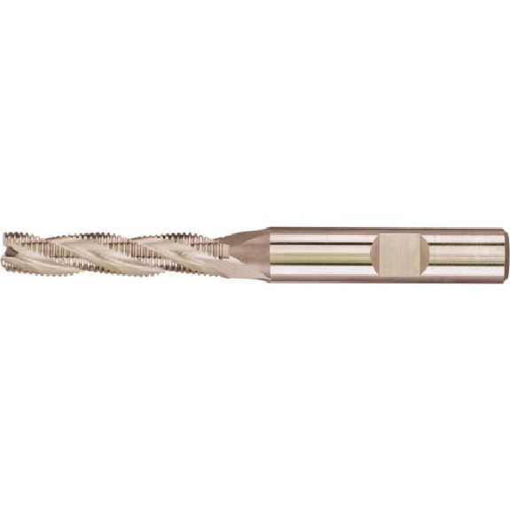 Format fraise à ébaucher DIN 844 L HSSCo8 16,0mm HR-Leggi tutto