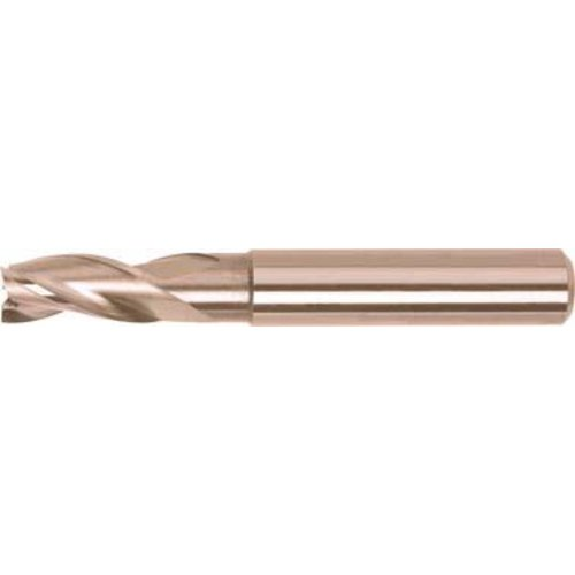 Format fraise DIN 6527 L carbure monobloc 10,0mm HA Z 3-Leggi tutto