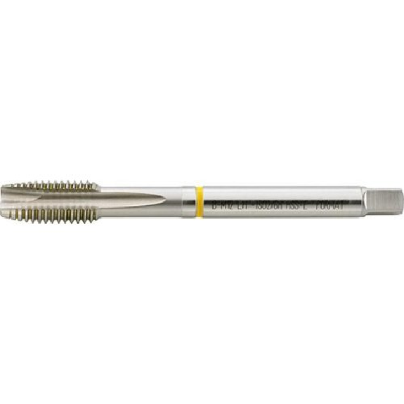Taraud machine à formater DIN 376 B HSSE LiM20.0-Leggi tutto
