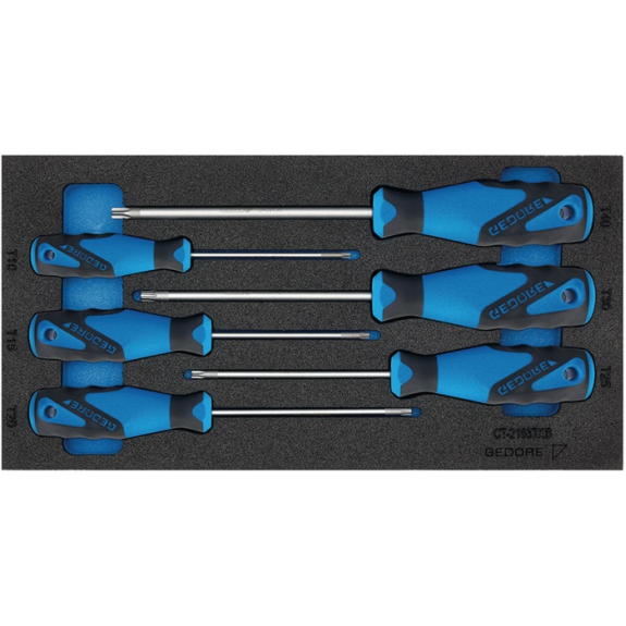 Werkzeugmodul 1500 CT1-2163 TX 6-tlg.1/3-Modul Schraubendreher TORX-Beschreibung lesen