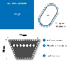 CMW - Correa trapezoidal clásica D98
