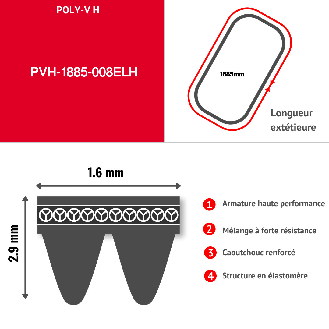 HUTCHINSON - Correa acanalada POLY V - Perfil en H - Longitud: 1885mm con 8 ranuras ELECTROMENAGER-Leer más