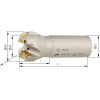 Schaftfräser zylindrisch D20mm Z2 für SEMT09T3.