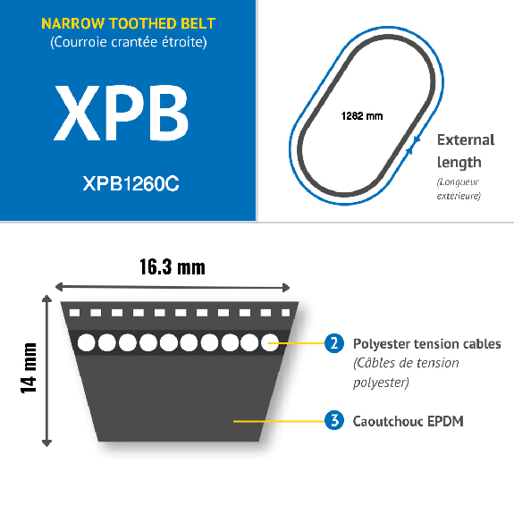 CMW - XPB1260 / 5VX500 Cinghia trapezoidale stretta dentellata-Leggi tutto