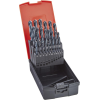 Spiralbohrer-Set DIN338 HSS geschliffen vaporisiert Typ N FORM C 1,0-13,0mm FORM Spiralbohrer-Set DIN338 HSS geschliffen vaporisiert Typ N FORM C 1,0-13,0mm FORM