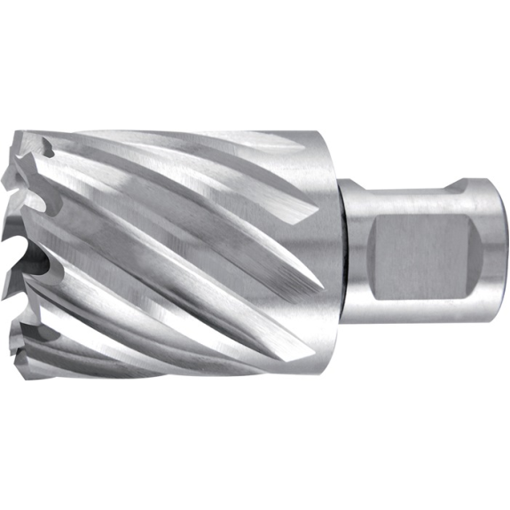 Carottier D.50mm HSS coupe T.30mm Weldon-Leggi tutto