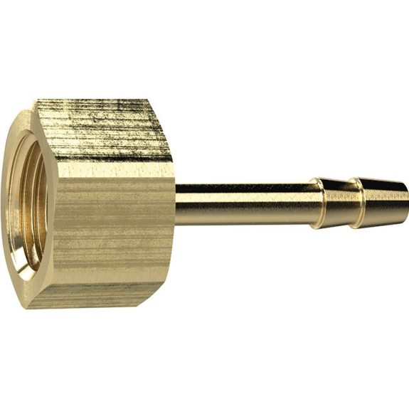 Vis -Un laiton d'inondation, IG G3 / 8 ", LW 6 SW 19 mm Riegler-Leggi tutto