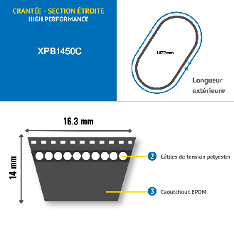CMW - Correa trapezoidal estrecha dentada XPB1450 / 5VX575-Leer más