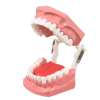 Modello anatomico di lingua DM11