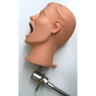 Manichino dentale completo
PHT-Leggi tutto