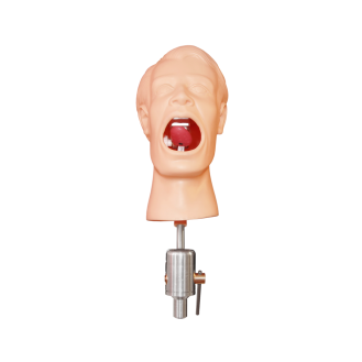 Manichino dentale completo
PHT-Leggi tutto