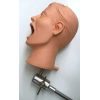 Manichino dentale completo
PHT