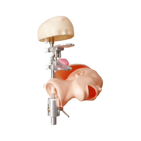 Manichino dentale completo con maschera facciale e articolatore-Leggi tutto