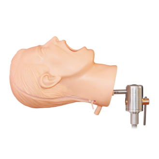 Manichino dentale completo
PHT-Leggi tutto