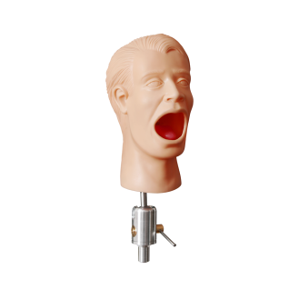 Manichino dentale completo
PHT-Leggi tutto