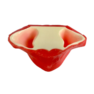 Modello anatomico di sierosa E20/P-Leggi tutto