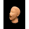 Manichino dentale da bambino completo
PHTC