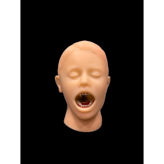 Manichino dentale da bambino completo
PHTC-Leggi tutto