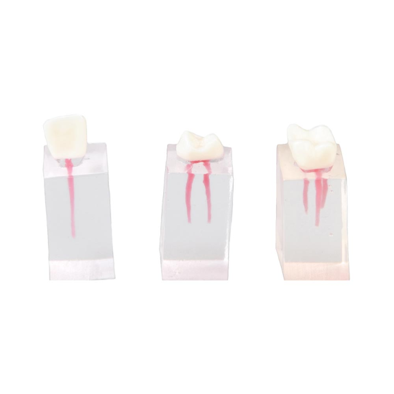 Set di 3 parallelepipedi per esercitazione endodontiche semplici E08/C Set di 3 parallelepipedi per esercitazione endodontiche semplici E08/C-Leggi tutto
