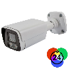 Telecamera Full Color - 2 MPX