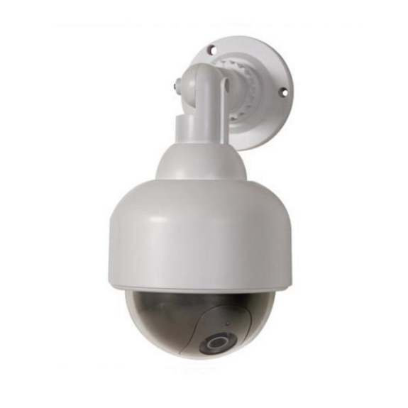 Falsa telecamera Dome con led-Leggi tutto