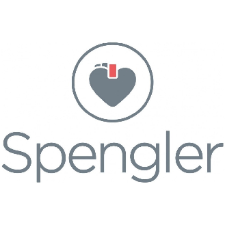 Spéculum auriculaire Adulte SPENGLER (boite de 250)-Lire la description