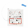 Électrodes adultes Fred Easy / Skity