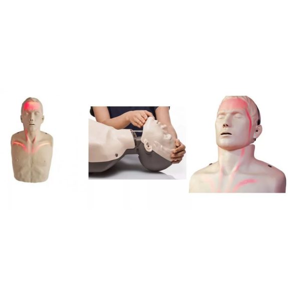 Mannequin lumineux massage cardiaque BRAYDEN-Lire la description
