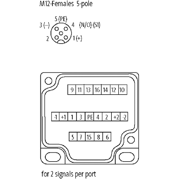 Capot pour répartiteur M12 8 voies 5 pôles, avec câble PUR 20m - 8000-88559-4522000 Capot pour répartiteur M12 8 voies 5 pôles, avec câble PUR 20m - 8000-88559-4522000-Lire la description