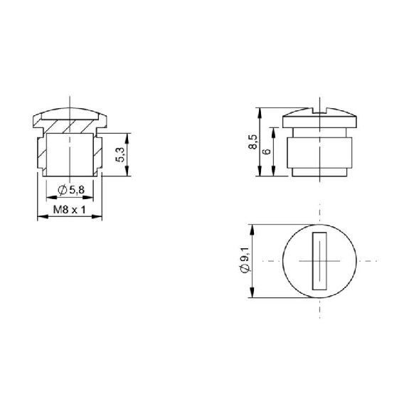 Écrou de protection pour modules réseau M8 - BAM CS-XA-001-M8-C (BAM01C1) Écrou de protection pour modules réseau M8 - BAM CS-XA-001-M8-C (BAM01C1)-Lire la description