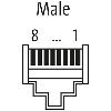 RJ45 Mâle Droit 8p; Blindé Bornes autodénudantes IDC, Profinet - 7000-74071-0000000