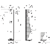 INTERVERROUILLAGE OUVT. HORS TENSION CODAGE ELEVE - AZM201Z-I2-ST2-T-1P2PW-A
