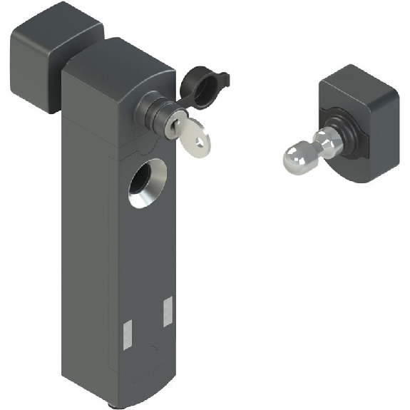 Interrupteur de sécurité avec verrouillage, avec actionneur, M12 8P - NS D4SR1SPK-F41 Interrupteur de sécurité avec verrouillage, avec actionneur, M12 8P - NS D4SR1SPK-F41-Lire la description